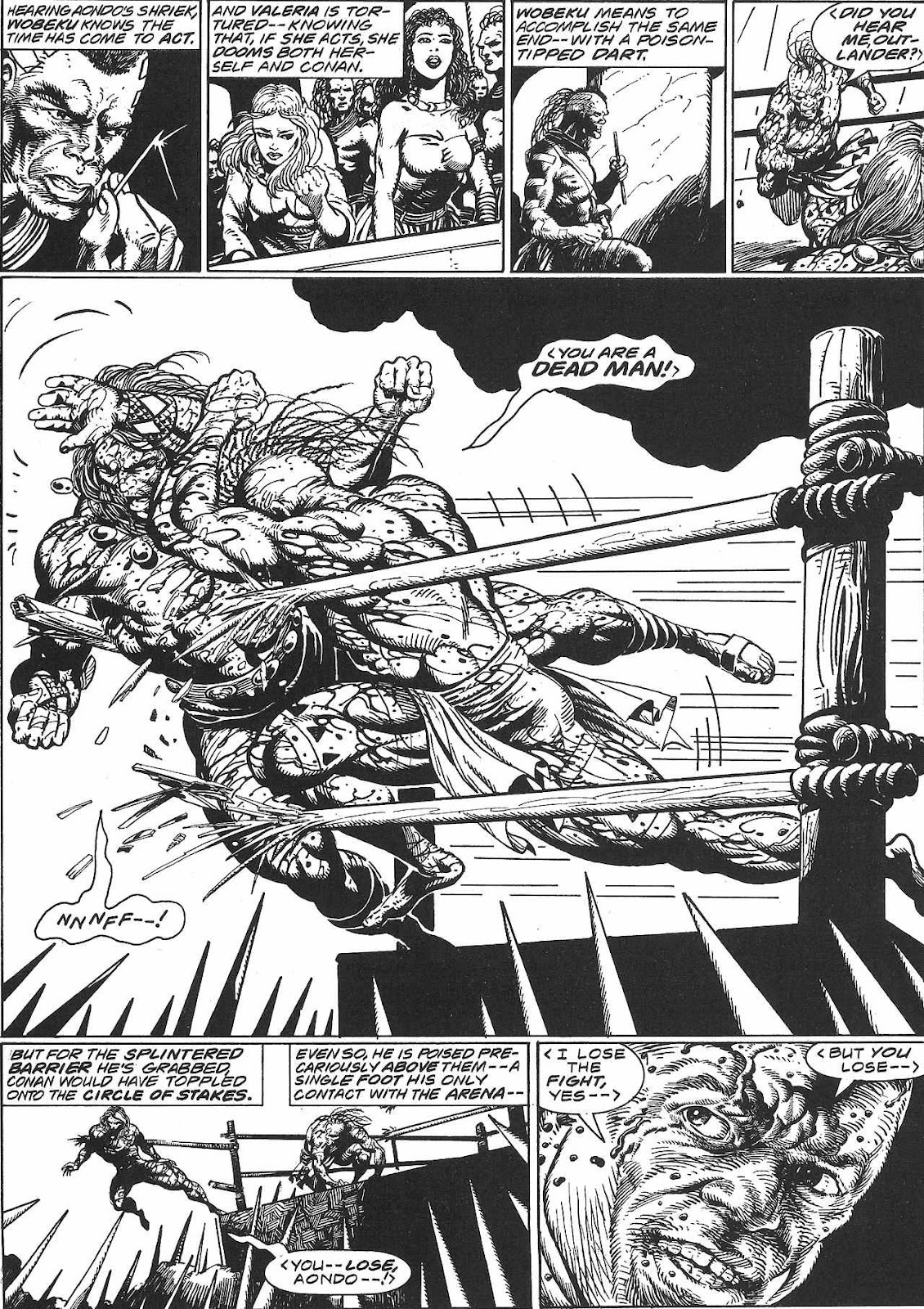 The Savage Sword Of Conan issue 213 - Page 17