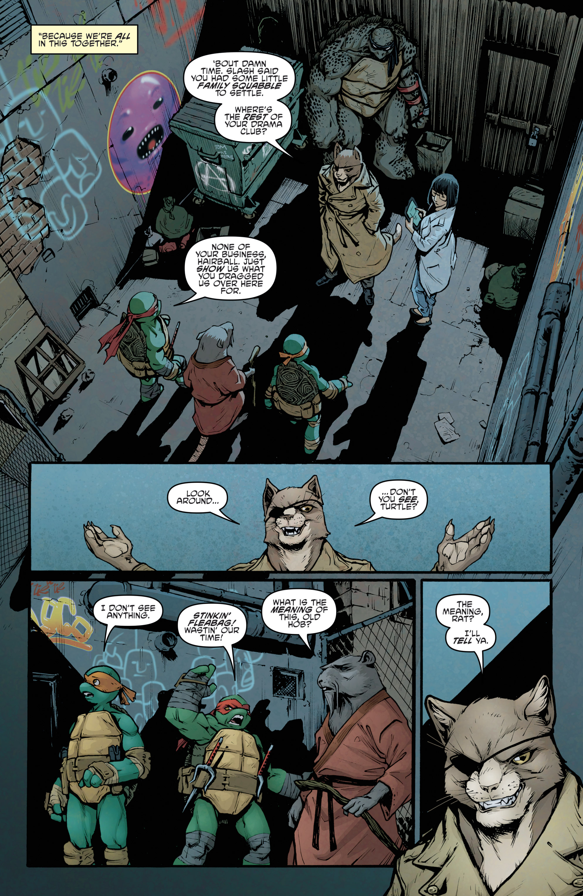 Read online Teenage Mutant Ninja Turtles (2011) comic -  Issue #38 - 19