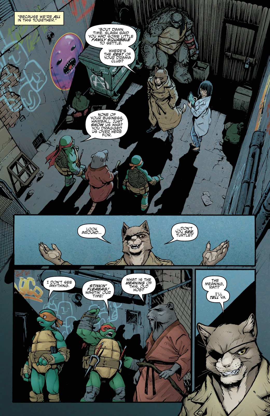 Teenage Mutant Ninja Turtles (2011) issue 38 - Page 19