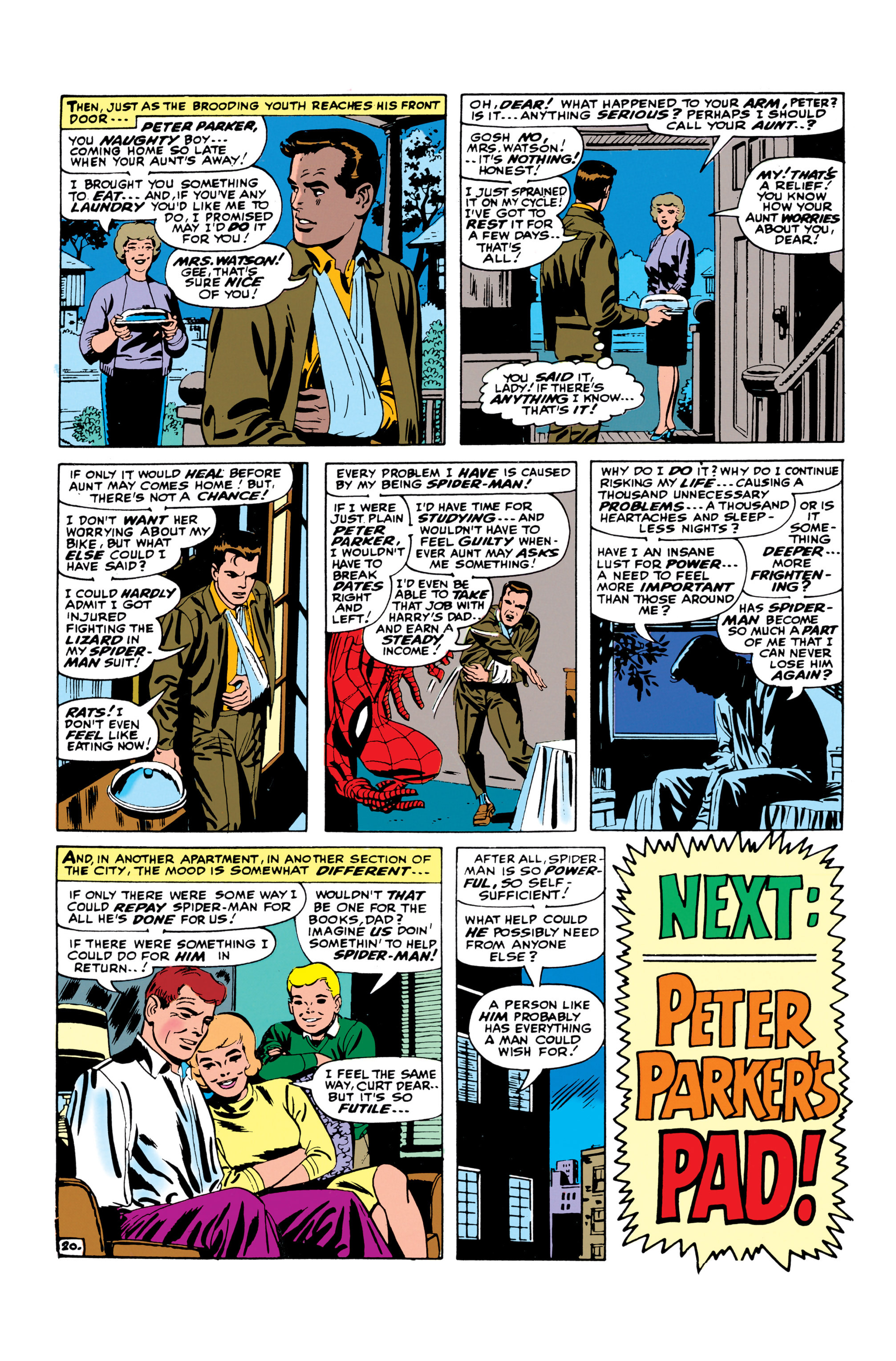 Read online The Amazing Spider-Man (1963) comic -  Issue #45 - 21