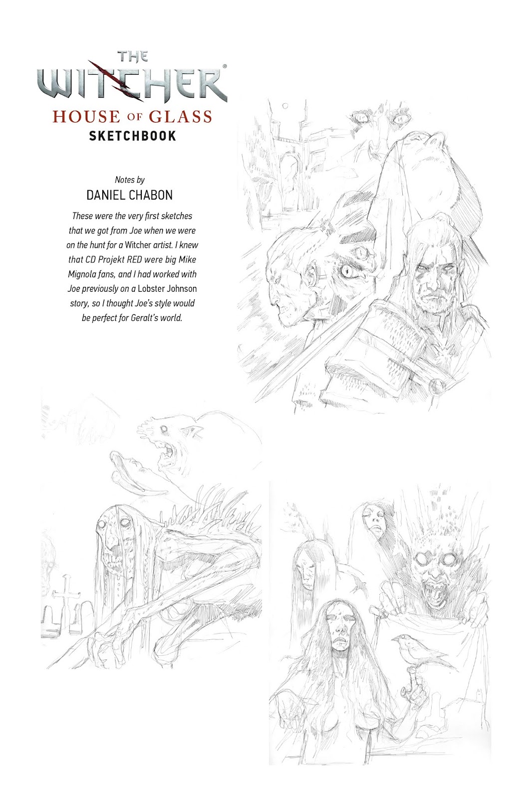 The Witcher: Library Edition issue TPB (Part 5) - Page 20
