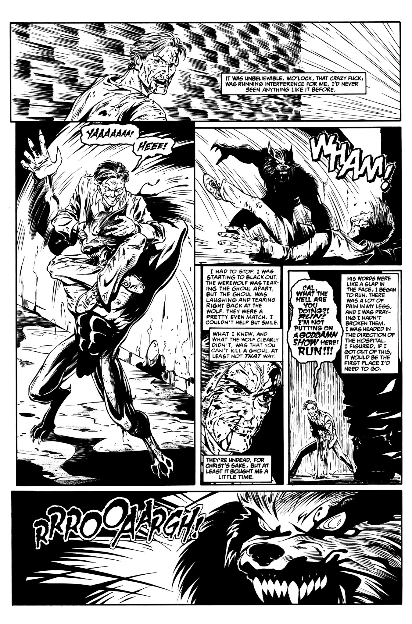 Read online Hairball: A Cal McDonald Mystery comic -  Issue # Full - 30