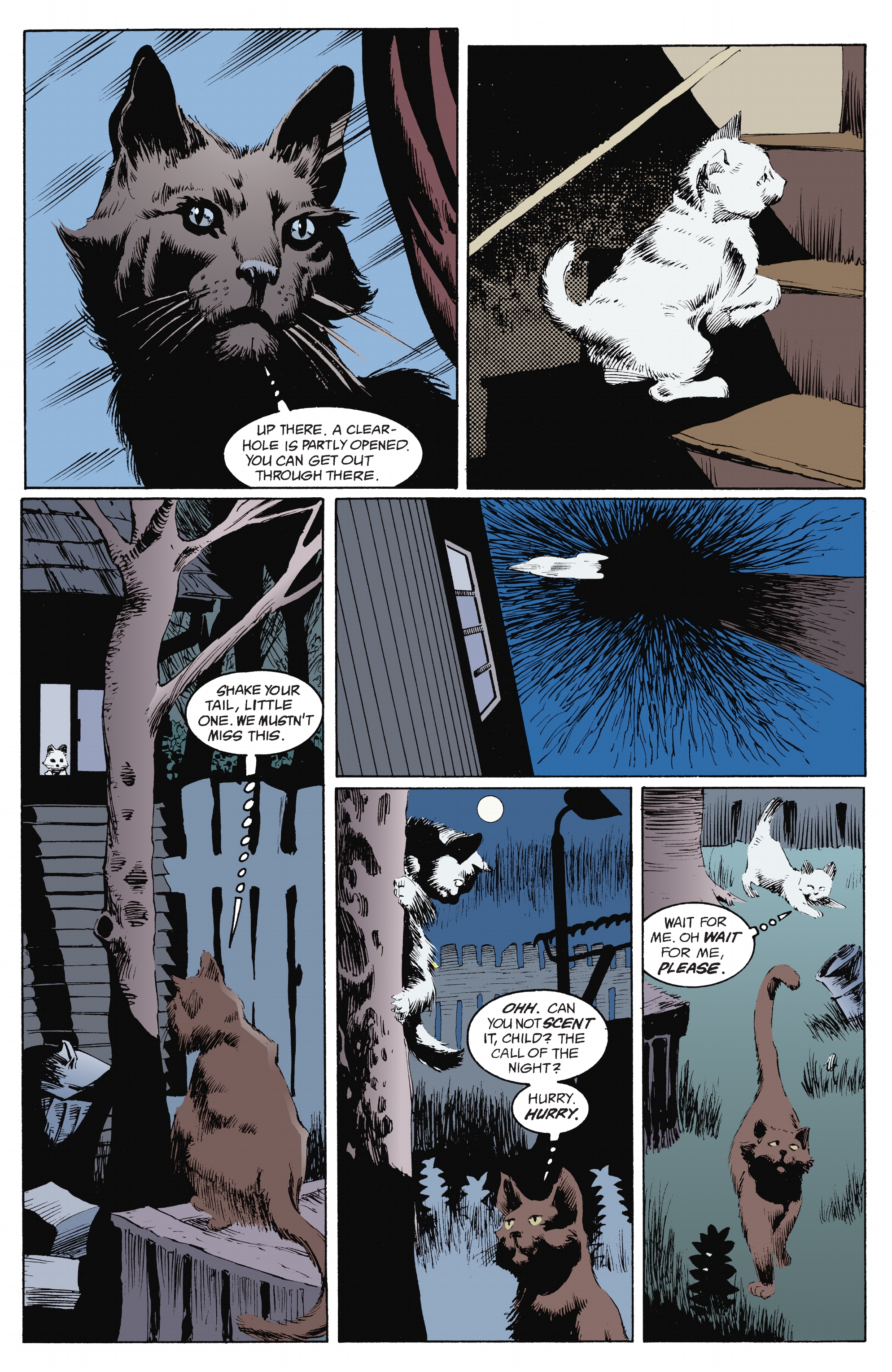 Read online The Sandman (2022) comic -  Issue # TPB 1 (Part 5) - 69