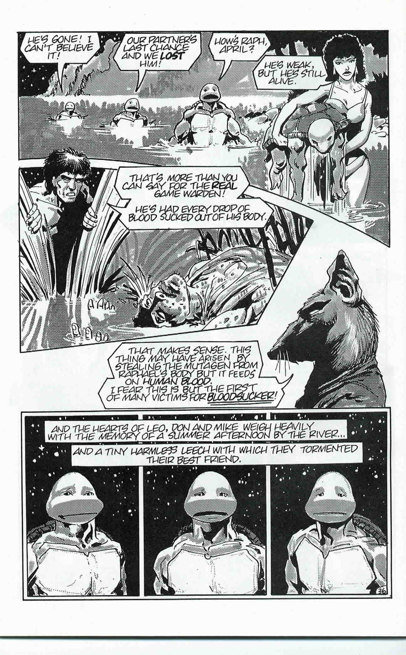 Teenage Mutant Ninja Turtles (1984) Issue #24 #24 - English 37