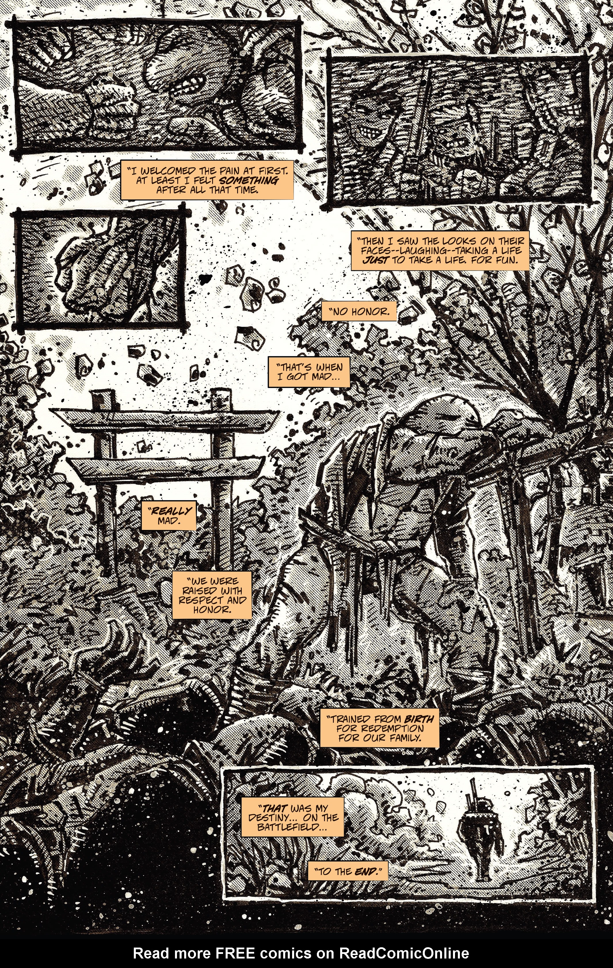 Read online Teenage Mutant Ninja Turtles: The Last Ronin comic -  Issue #2 - 38