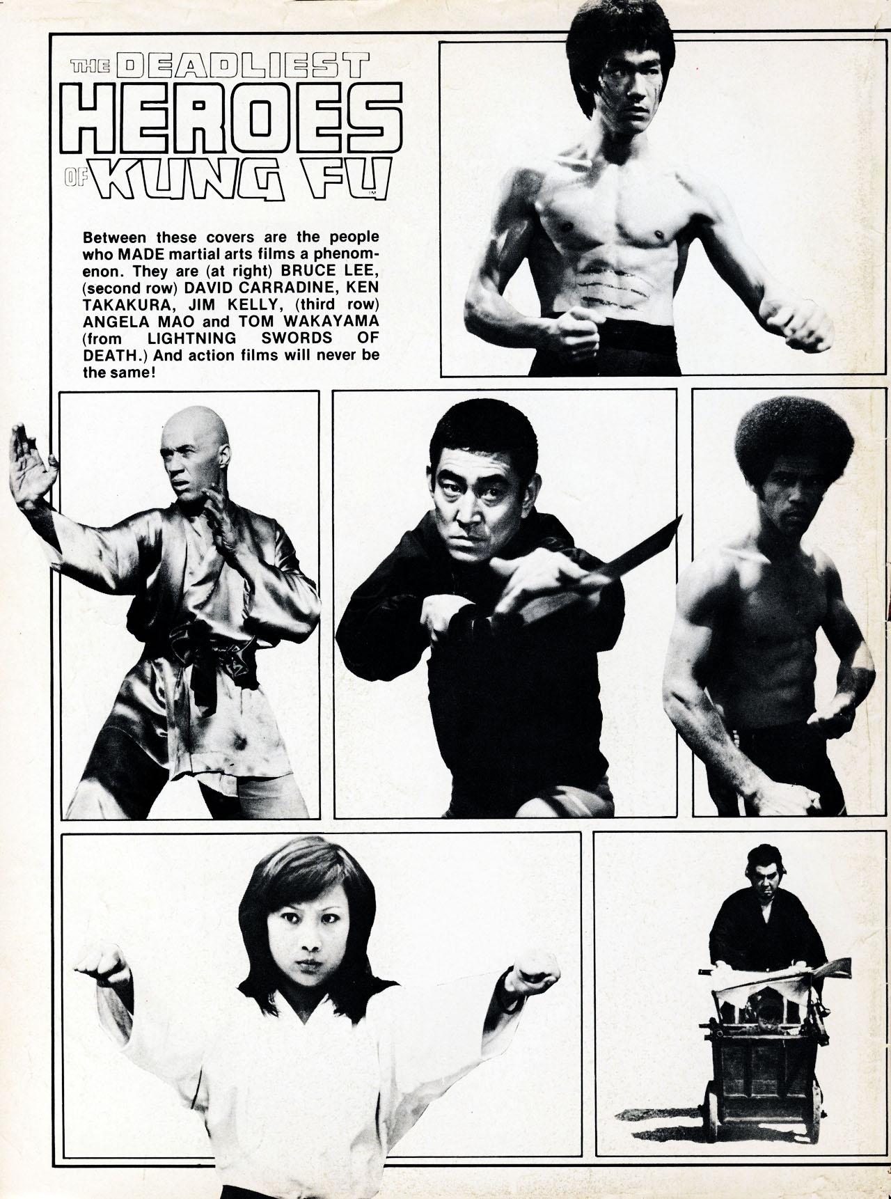 Read online The Deadliest Heroes Of Kung Fu comic -  Issue # Full - 81