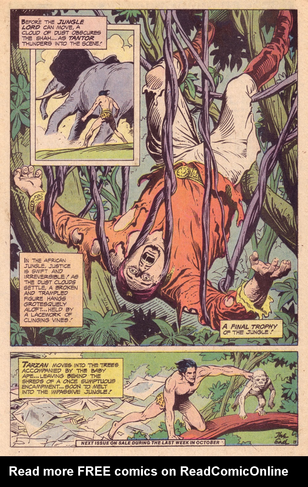 Read online Tarzan (1972) comic -  Issue #244 - 17