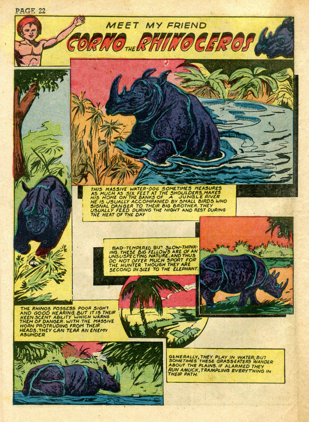 Read online Wambi Jungle Boy comic -  Issue #3 - 24