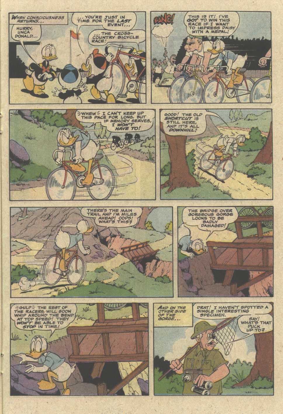 Read online Walt Disney's Donald Duck (1986) comic -  Issue #276 - 22