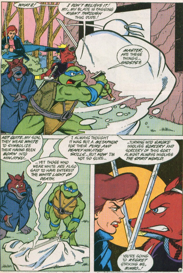 Read online Teenage Mutant Ninja Turtles Adventures (1989) comic -  Issue #29 - 17