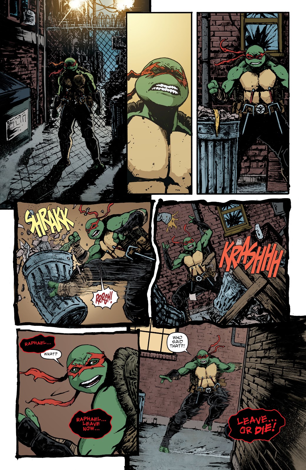 Teenage Mutant Ninja Turtles (2011) issue 140 - Page 20