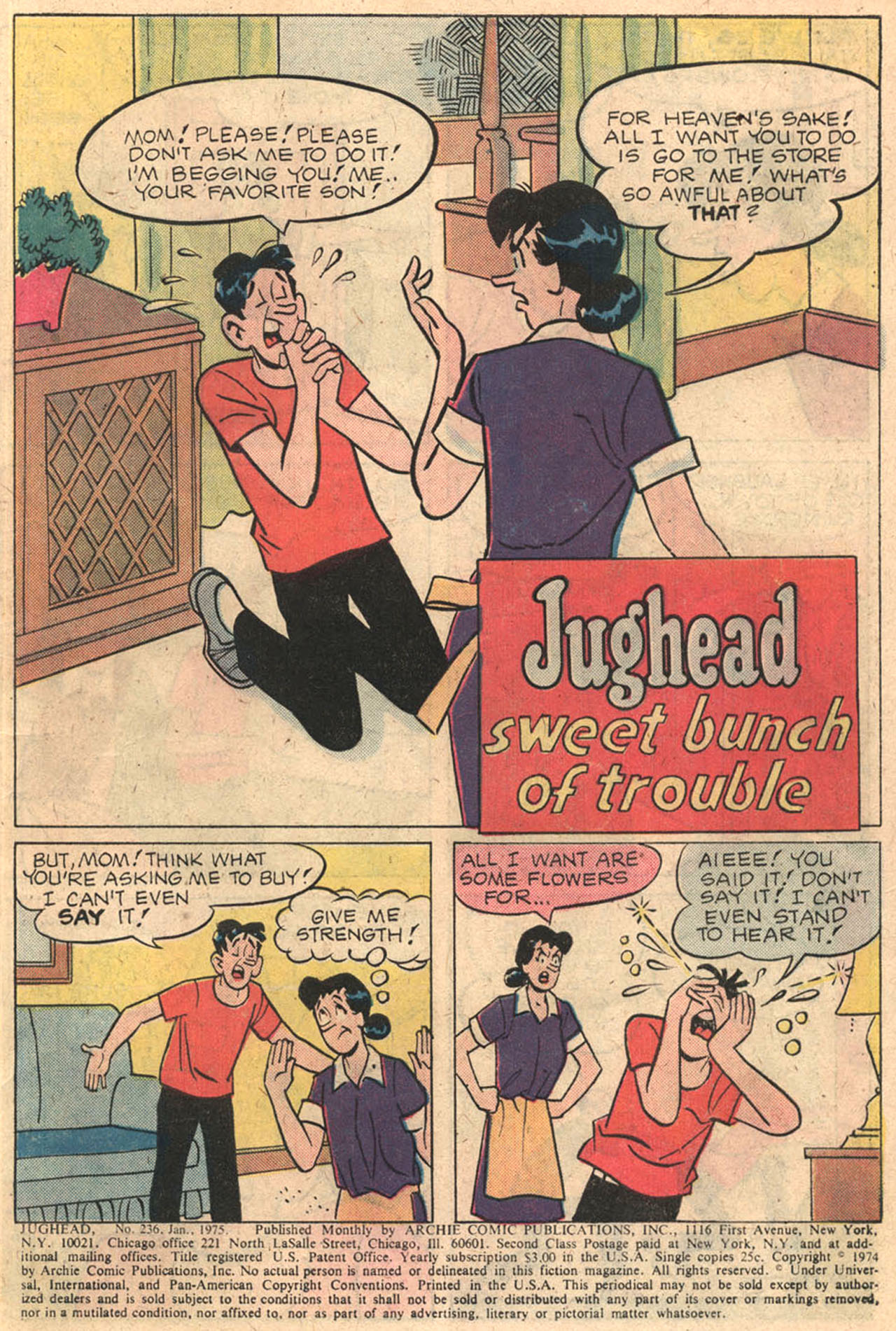 Read online Jughead (1965) comic -  Issue #236 - 3