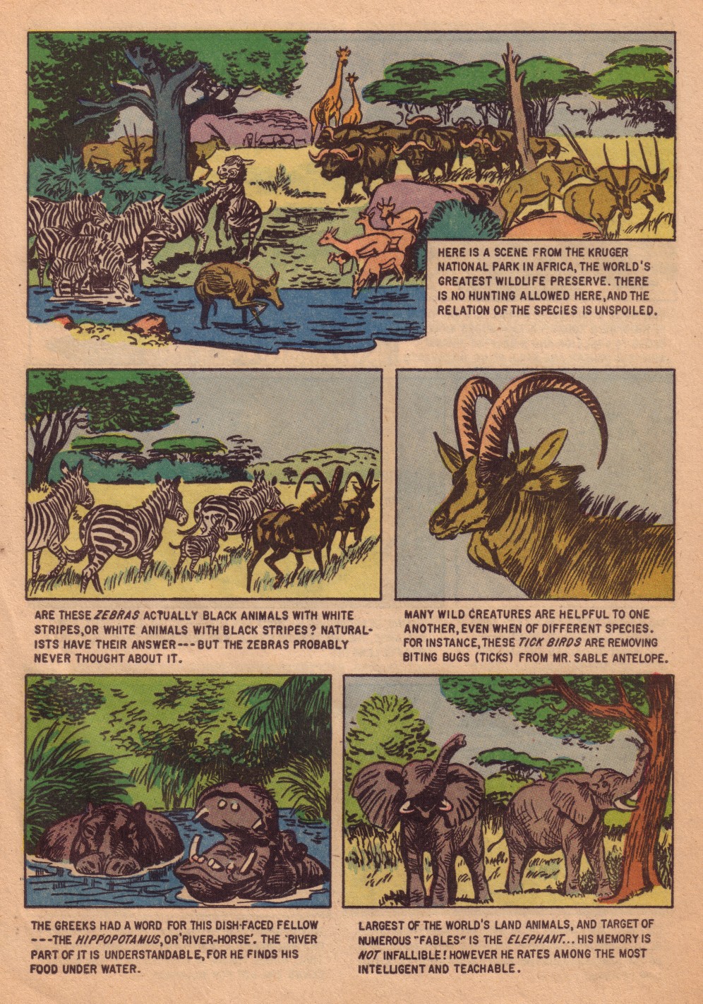 Read online Four Color Comics comic -  Issue #713 - 28