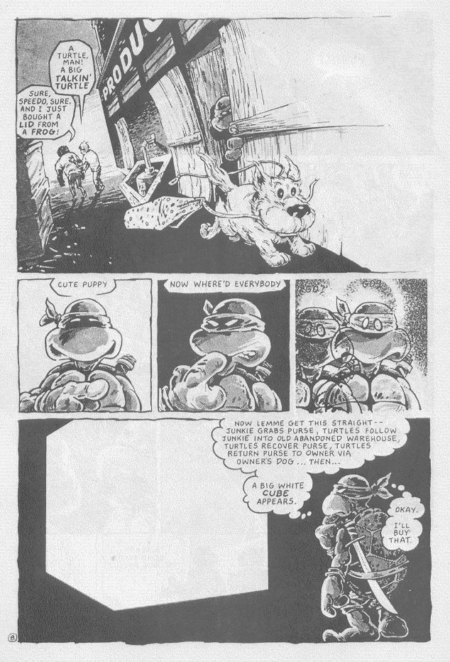 Teenage Mutant Ninja Turtles (1984) Issue #16 #16 - English 11