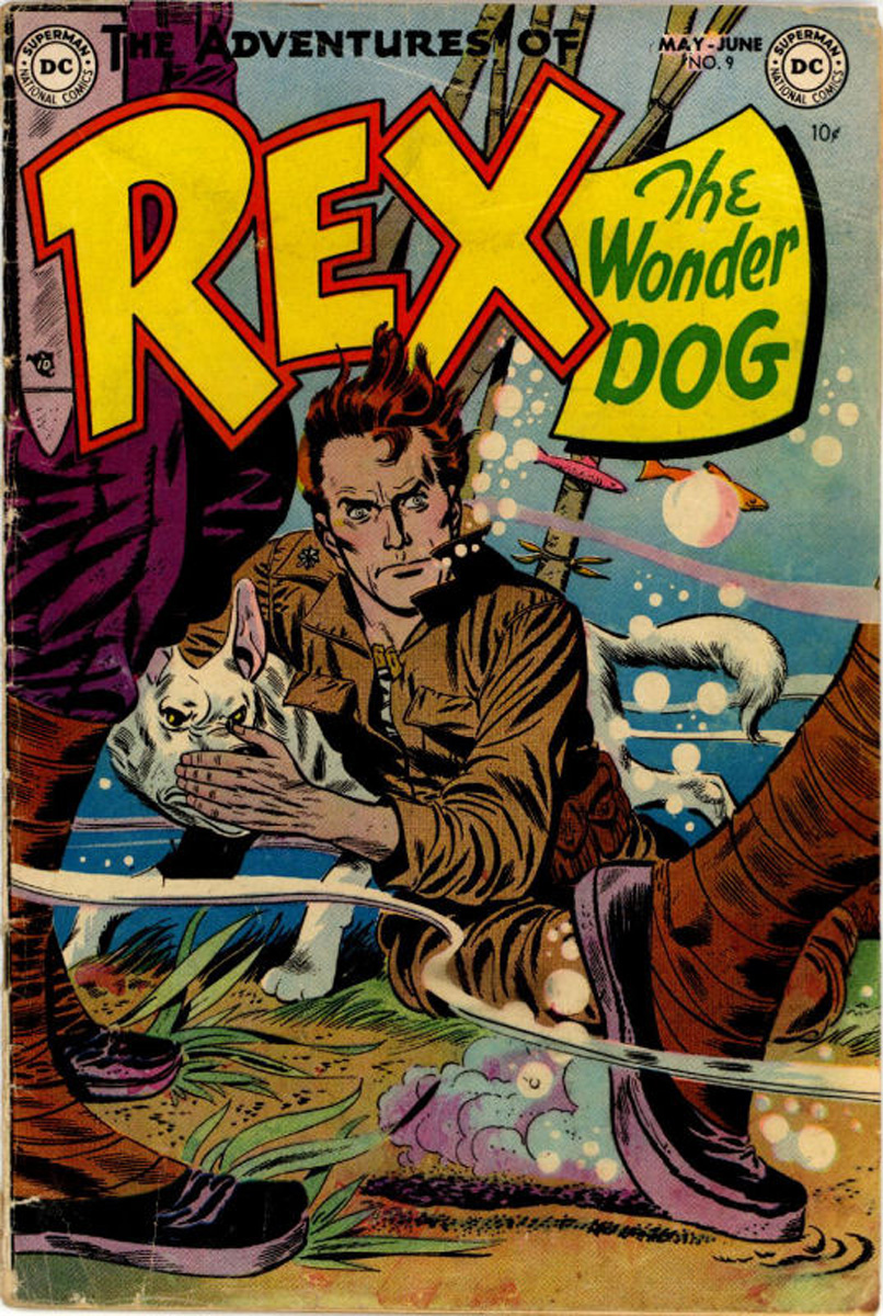 The Adventures of Rex the Wonder Dog issue 9 - Page 1