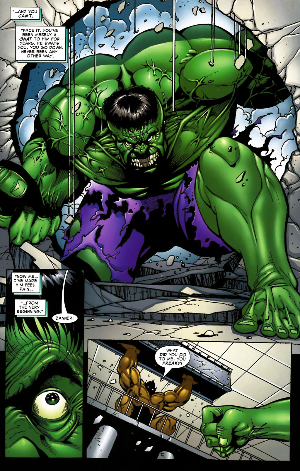 Read online Hulk: Destruction comic -  Issue #2 - 13