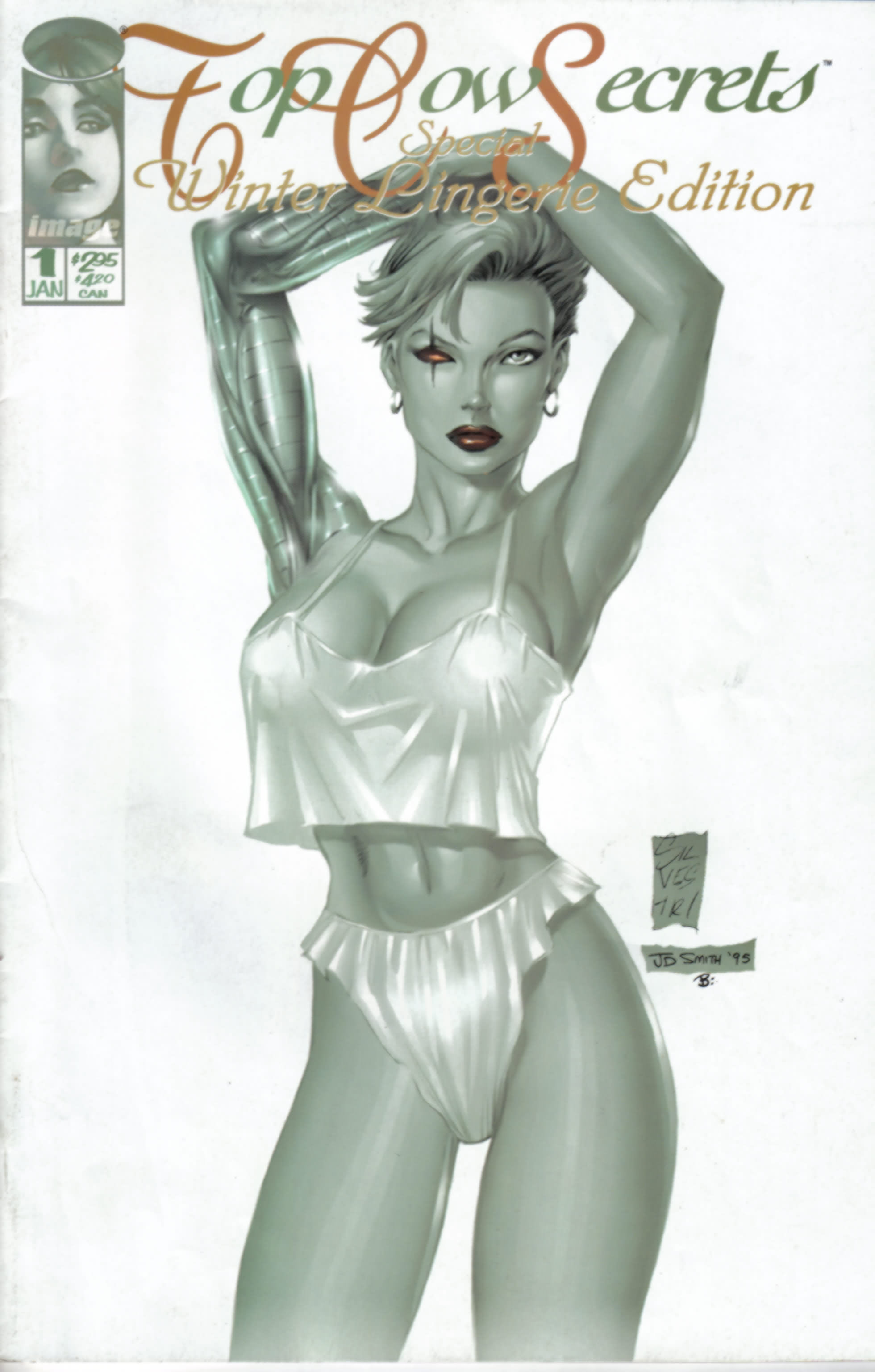 Read online Top Cow Secrets-Special Winter Lingerie Edition comic -  Issue # Full - 1