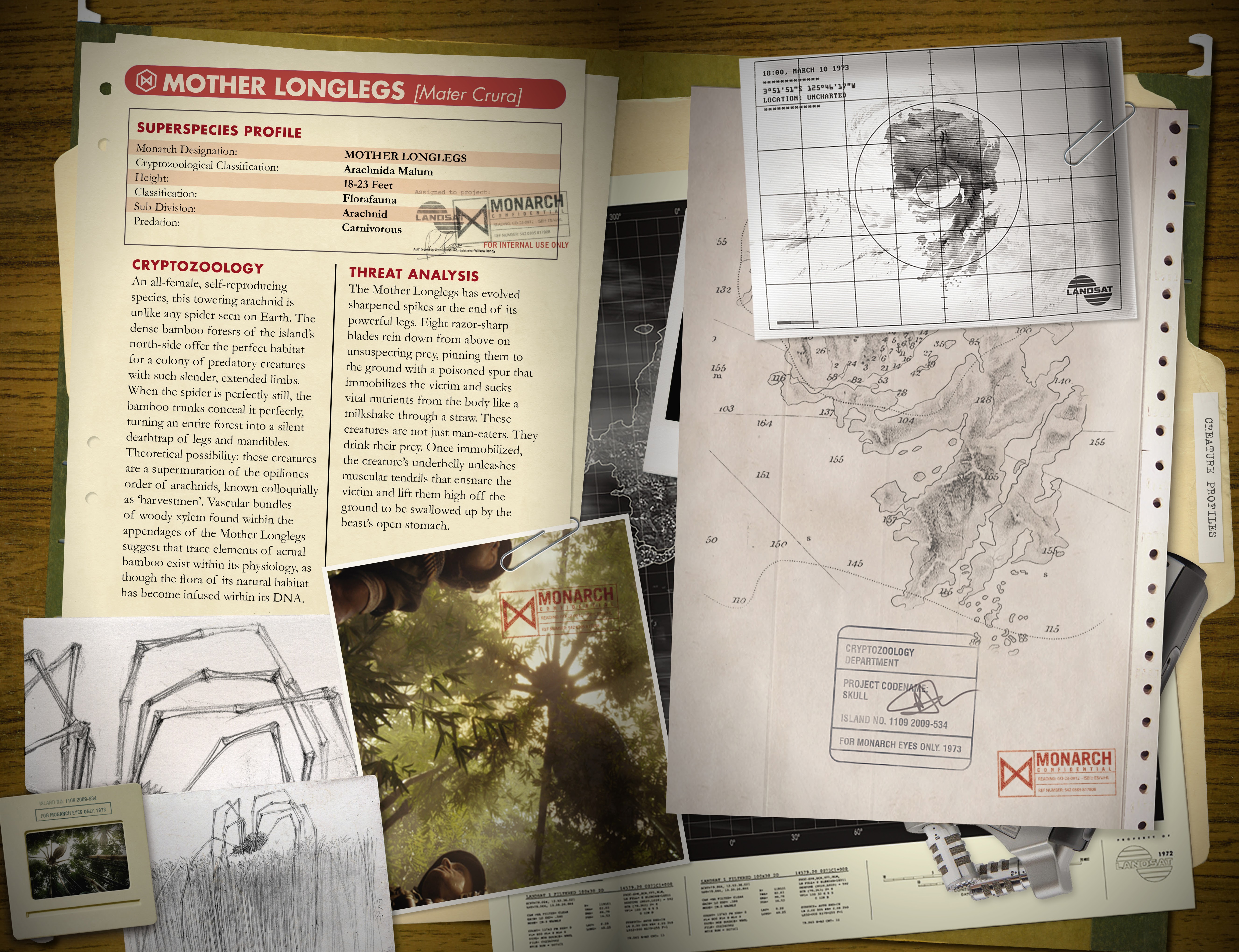 Read online Skull Island: The Birth of Kong comic -  Issue # _TPB - 95