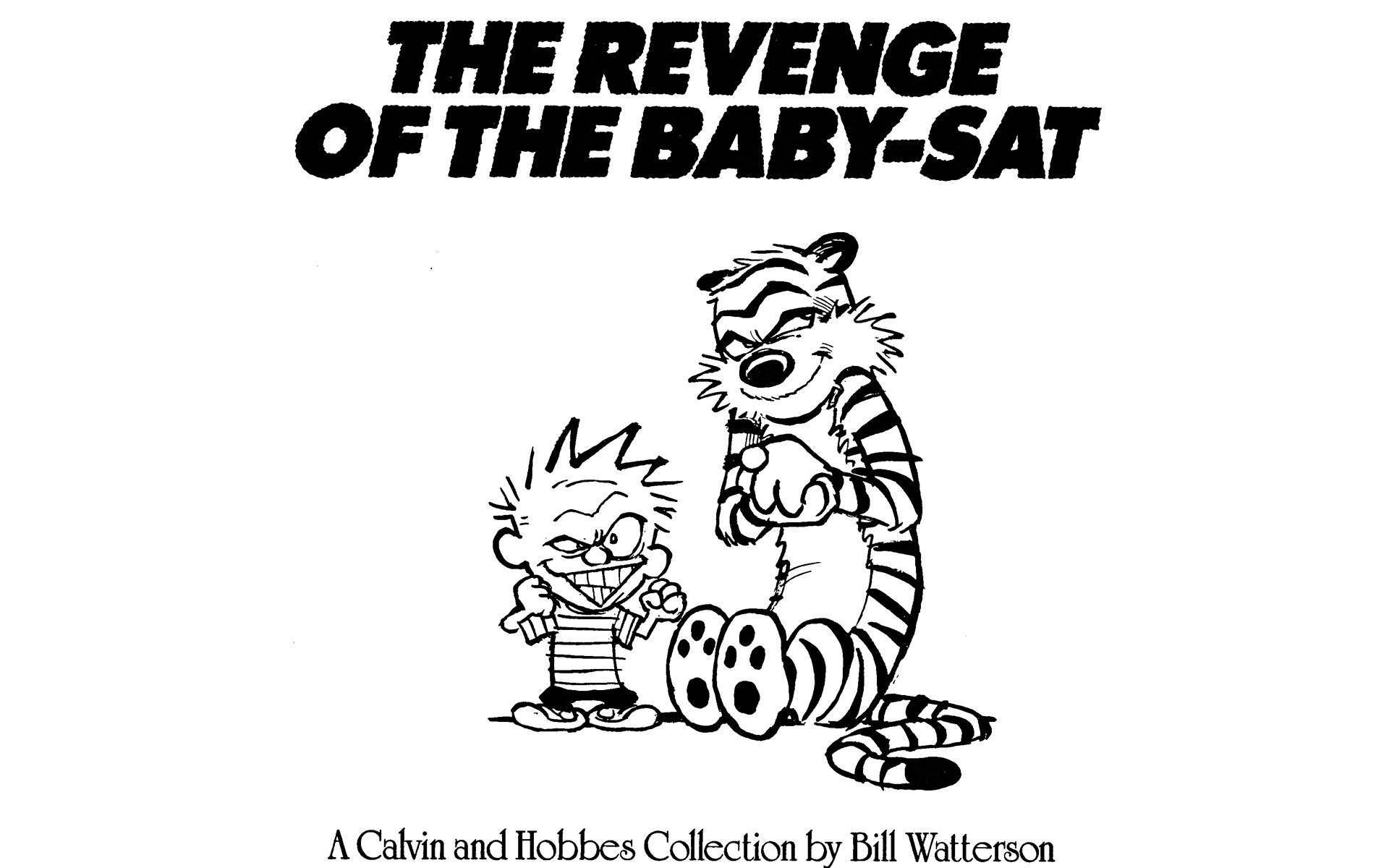 Read online Calvin and Hobbes comic -  Issue #5 - 3