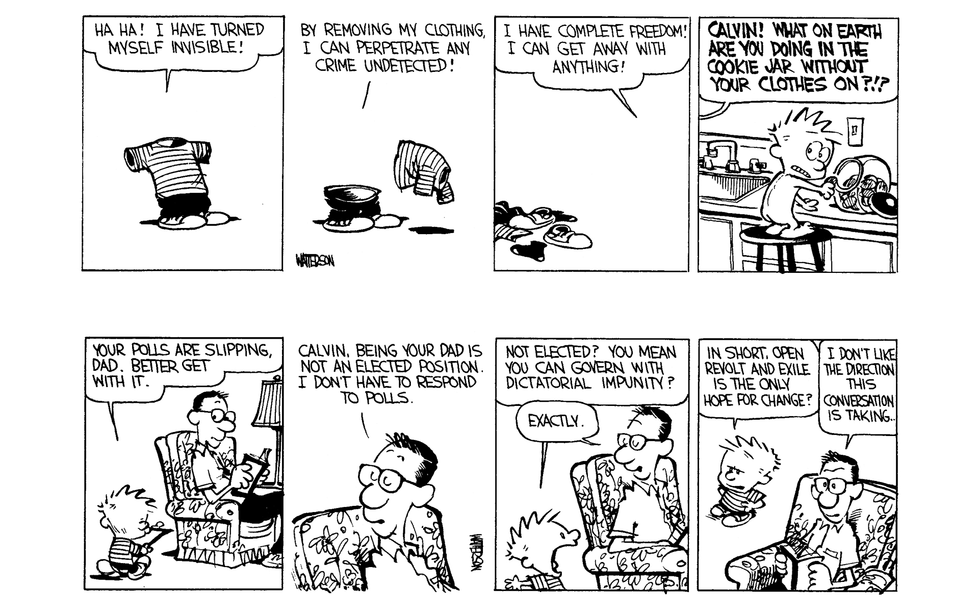 Read online Calvin and Hobbes comic -  Issue #2 - 12