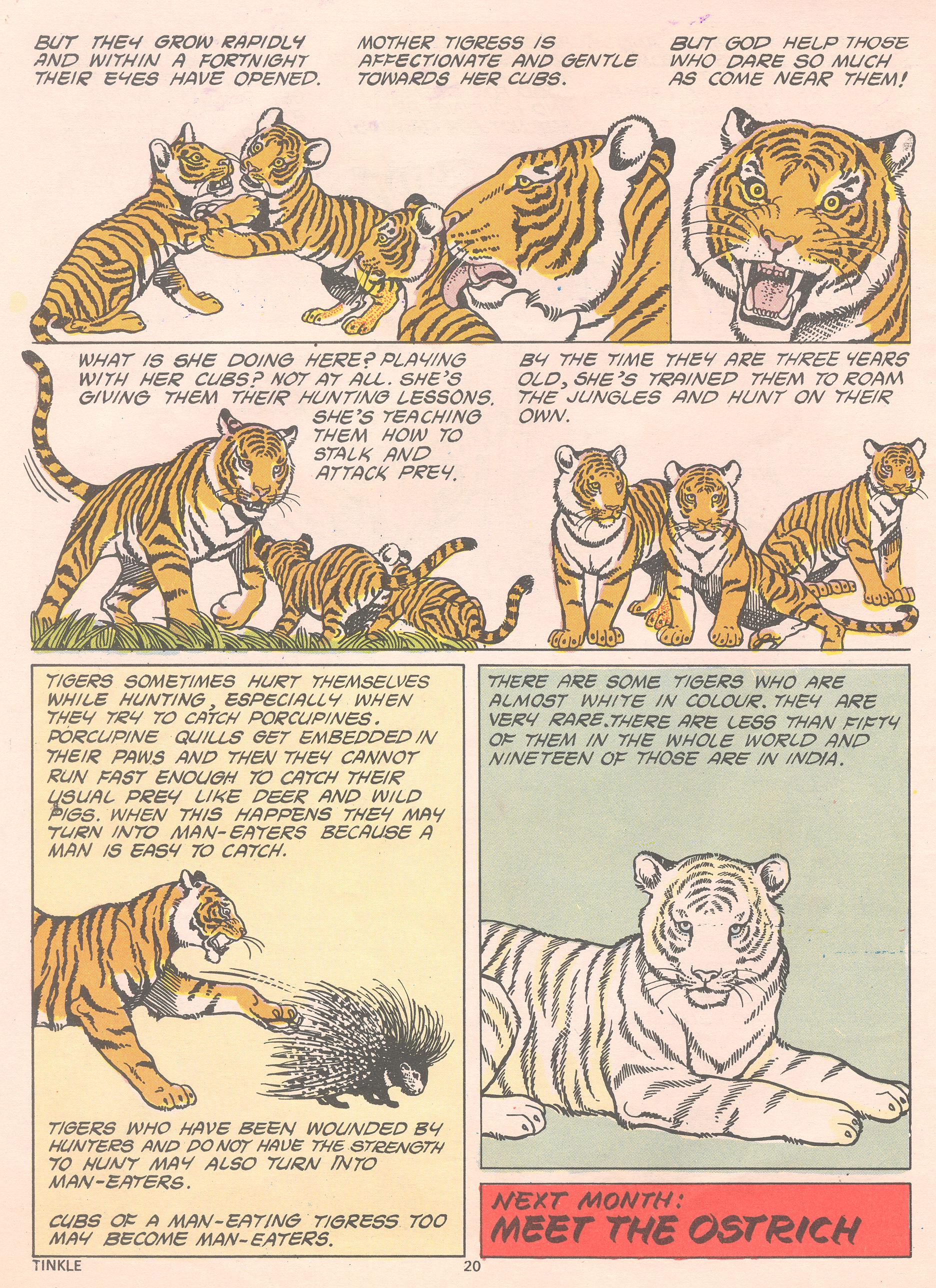 Read online Tinkle comic -  Issue #14 - 22