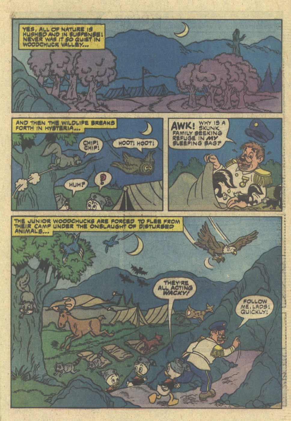 Read online Huey, Dewey, and Louie Junior Woodchucks comic -  Issue #58 - 25