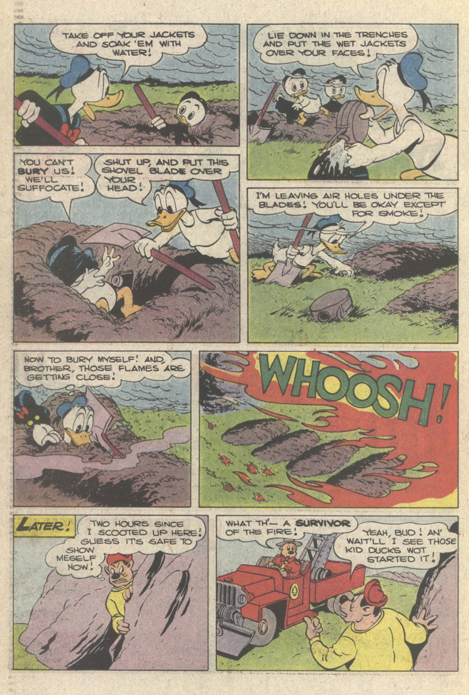 Read online Walt Disney's Donald Duck (1952) comic -  Issue #257 - 30