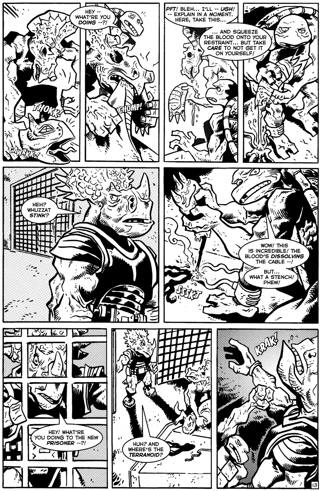 TMNT: Teenage Mutant Ninja Turtles Issue #25 #25 - English 15