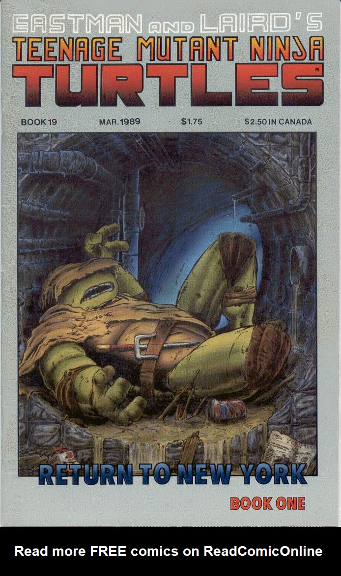 Read online Teenage Mutant Ninja Turtles (1984) comic -  Issue #19 - 1