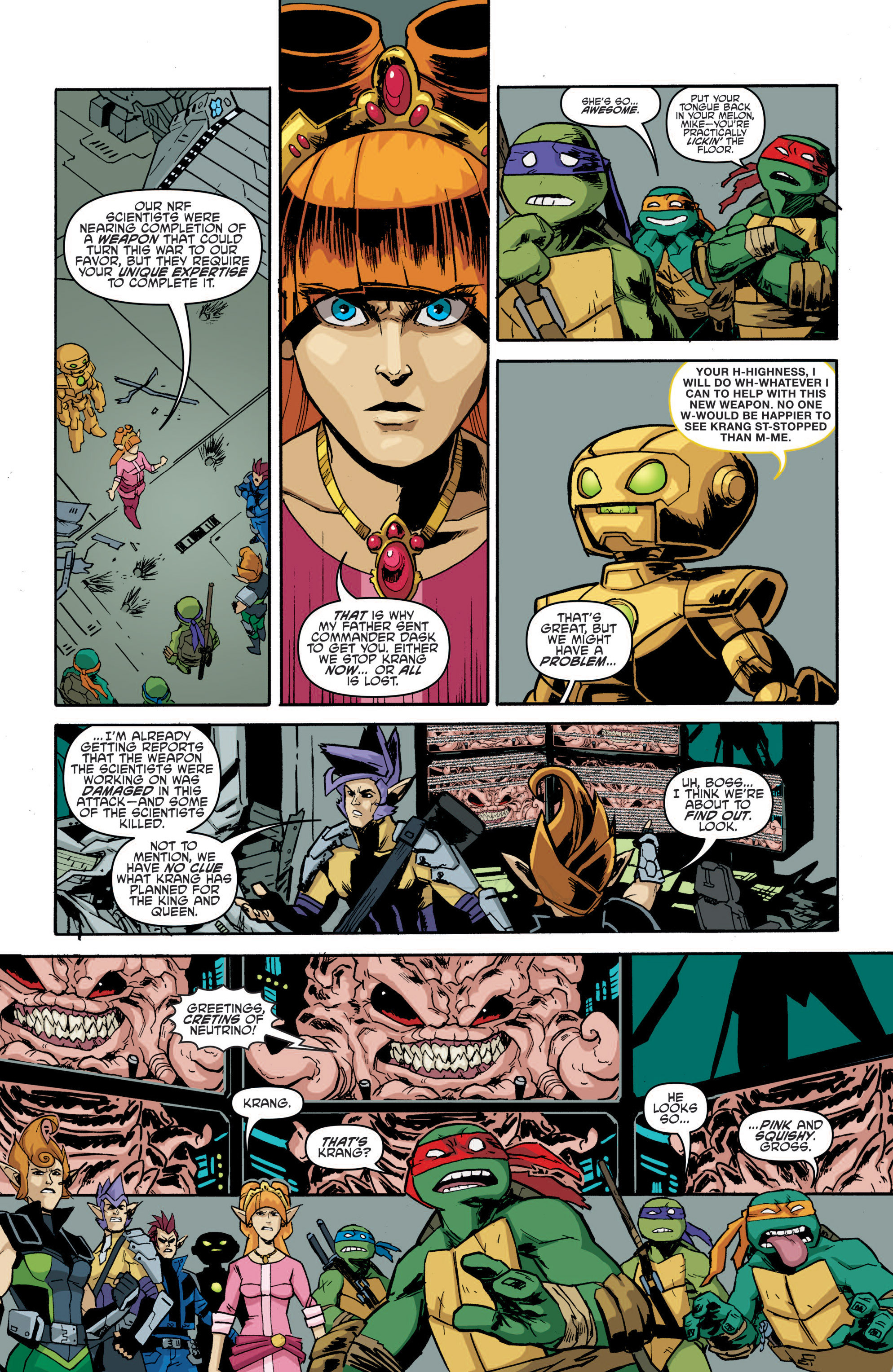 Read online Teenage Mutant Ninja Turtles (2011) comic -  Issue #18 - 25