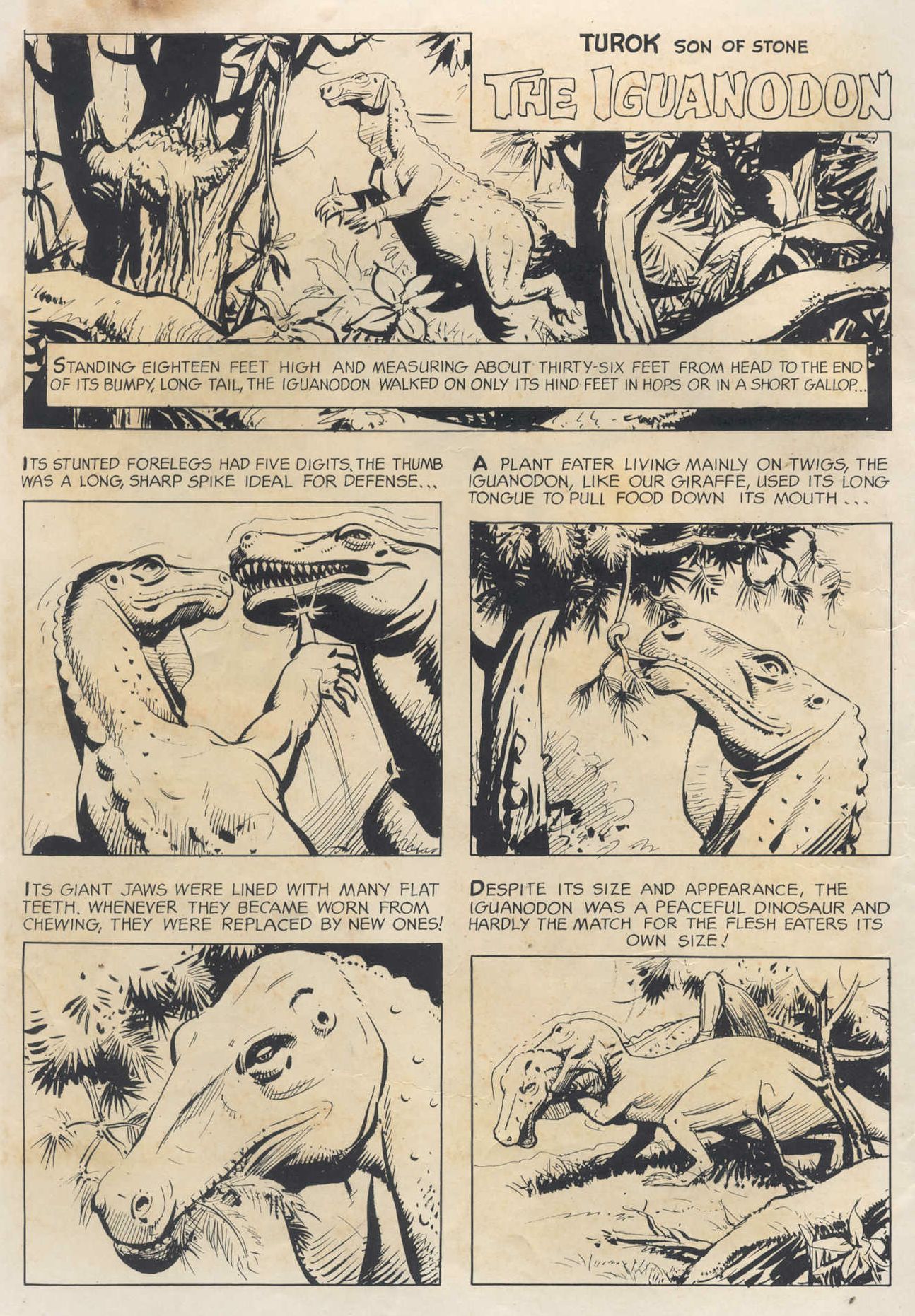 Read online Turok, Son of Stone comic -  Issue #58 - 2