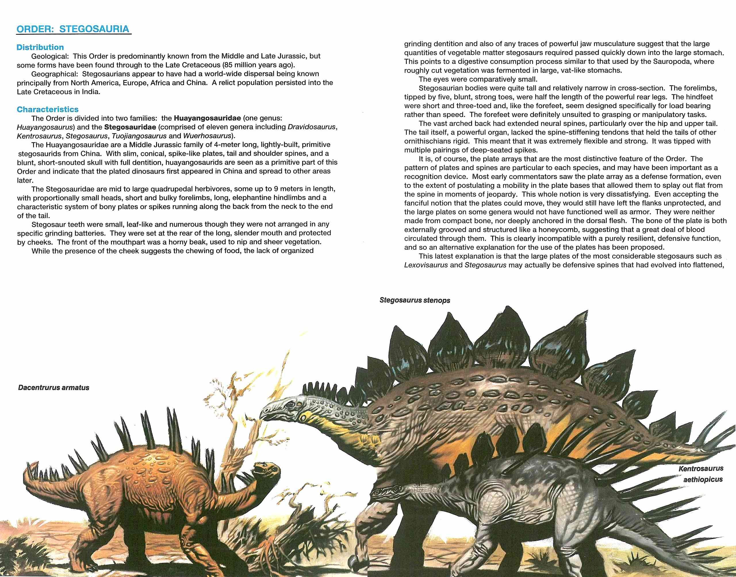 Read online Dinosaurs, A Celebration comic -  Issue #4 - 16