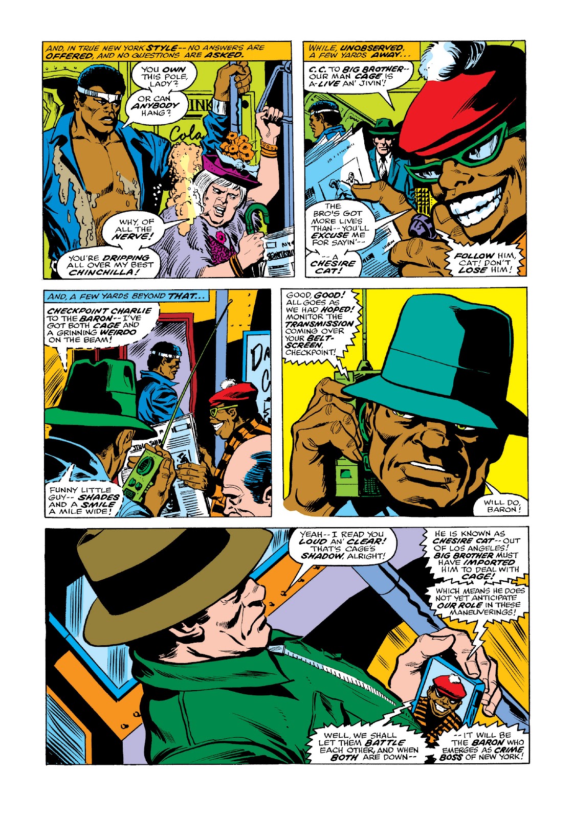 Read online Marvel Masterworks: Luke Cage, Power Man comic - Issue # TPB 3 (Part 2) - 41