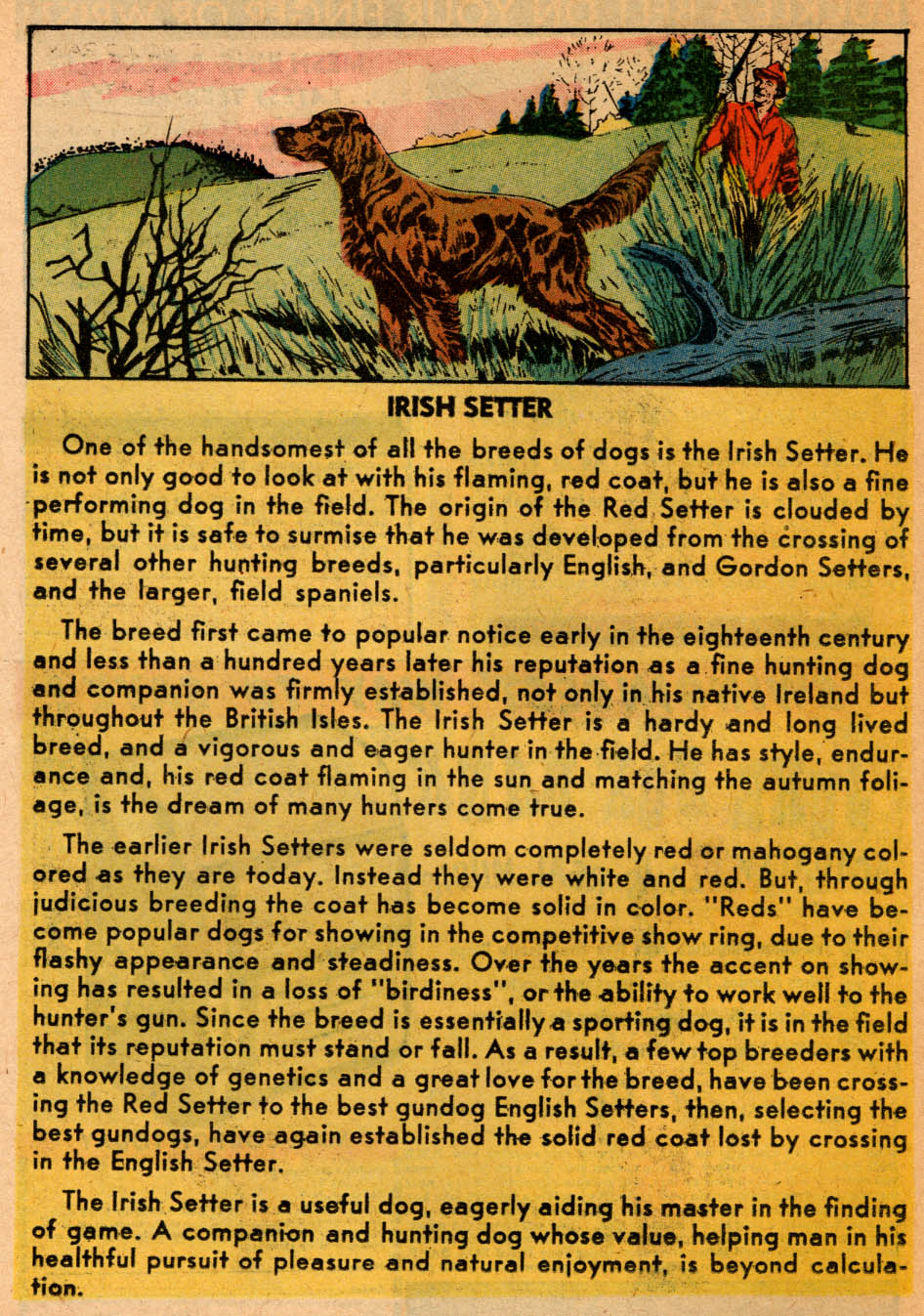 Read online Jughead's Fantasy comic -  Issue #2 - 10