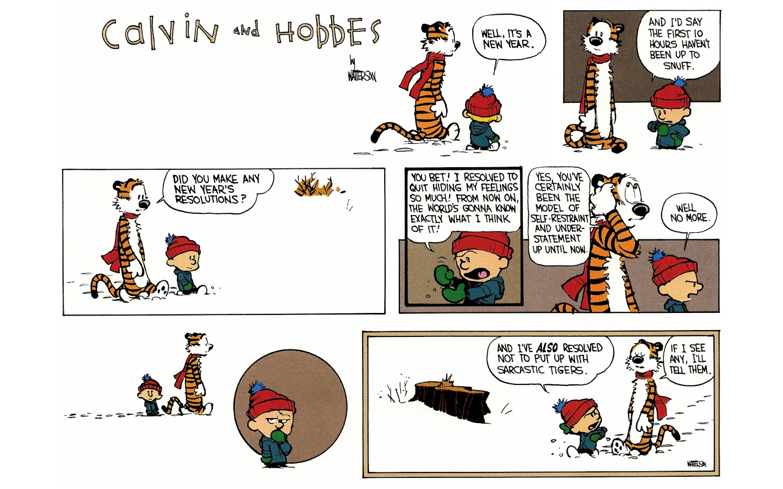 Calvin and Hobbes issue 5 - Page 25