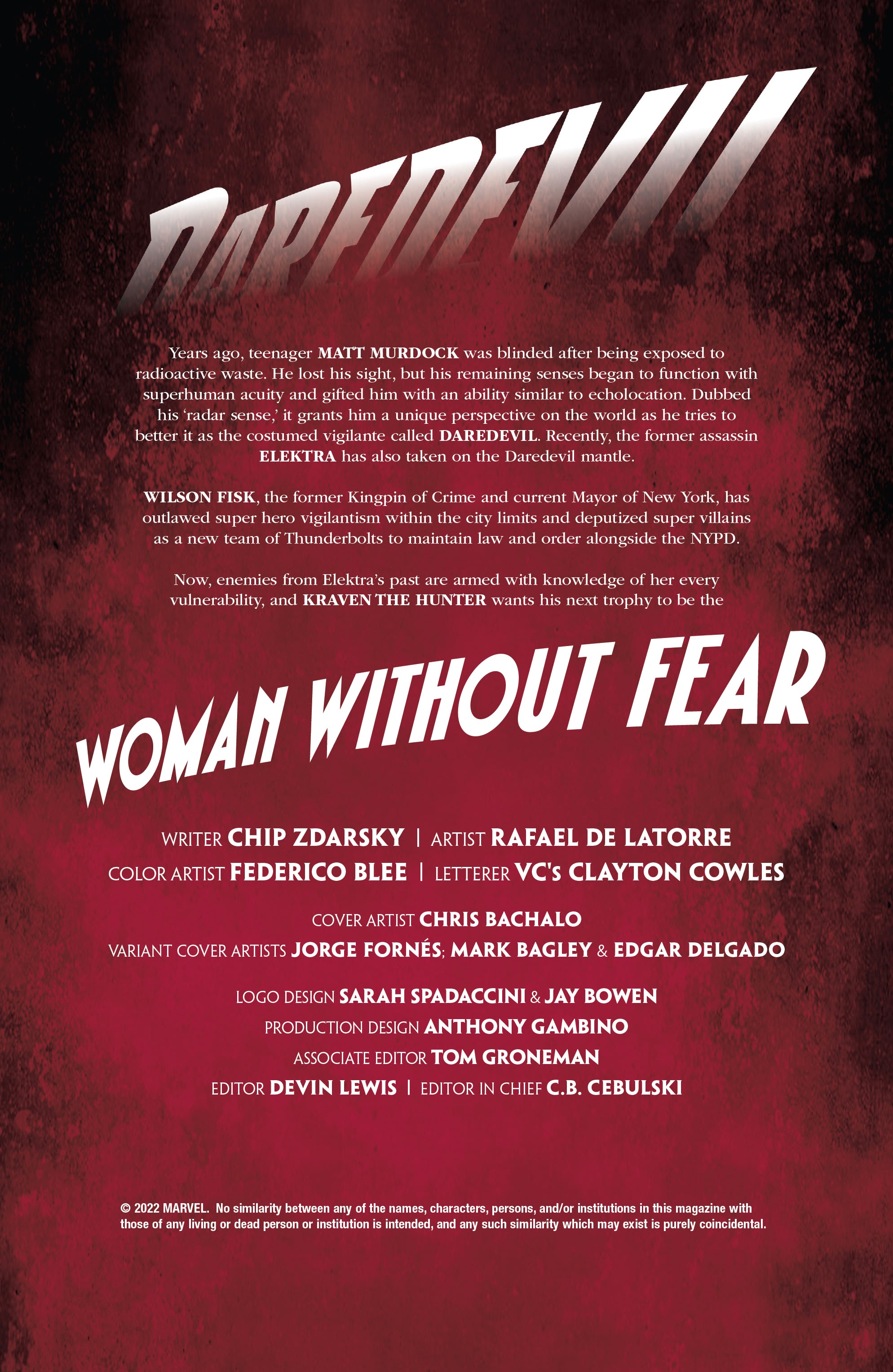 Read online Daredevil: Woman Without Fear comic -  Issue #2 - 2