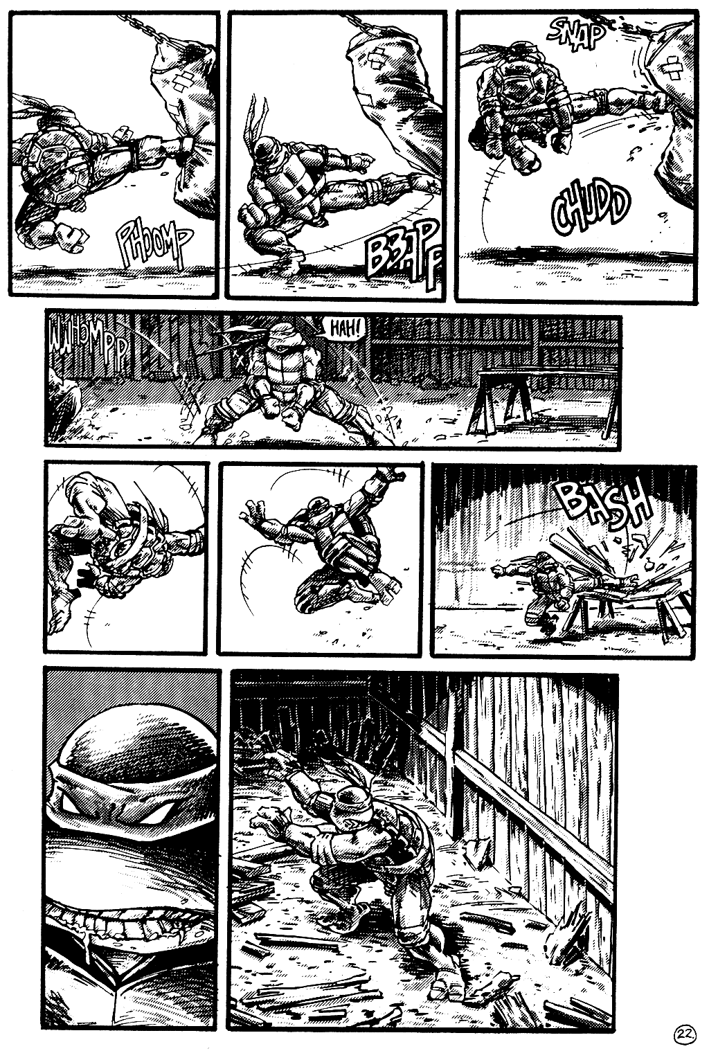 Teenage Mutant Ninja Turtles (1984) Issue #11 #11 - English 23