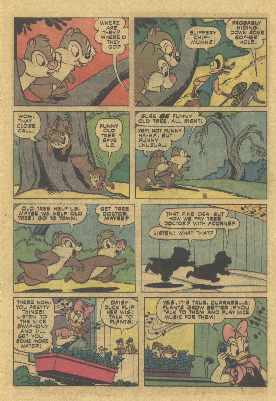 Read online Walt Disney Chip 'n' Dale comic -  Issue #35 - 13