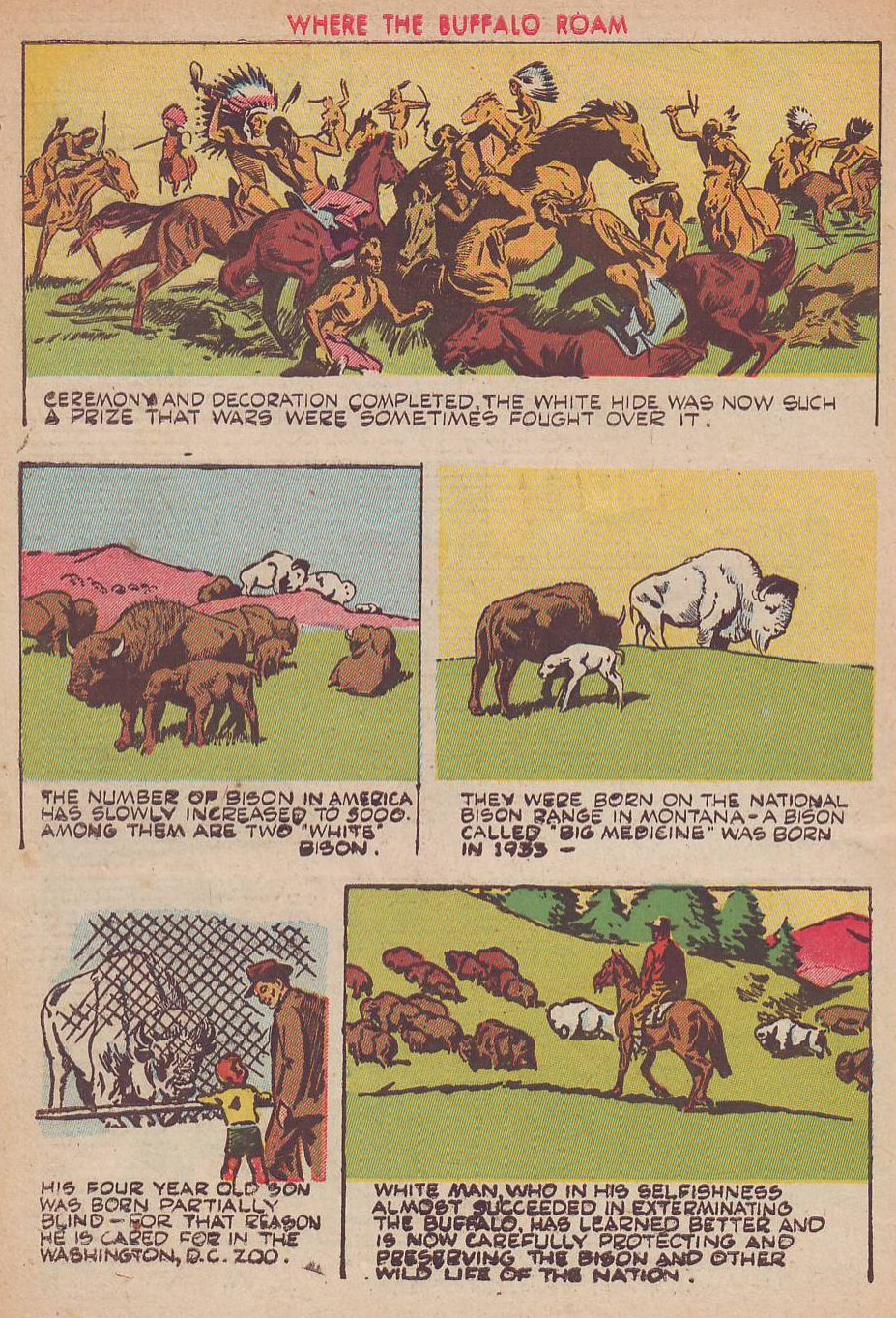 Read online Animal Comics comic -  Issue #25 - 50