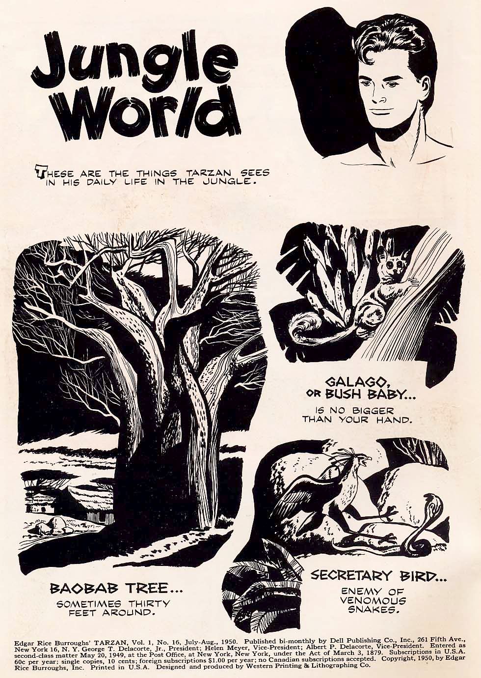 Read online Tarzan (1948) comic -  Issue #16 - 2