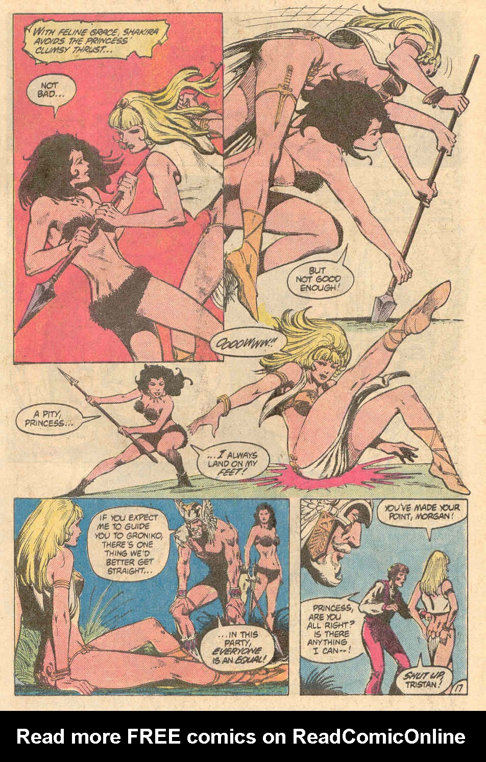 Read online Warlord (1976) comic -  Issue # _Annual 6 - 17