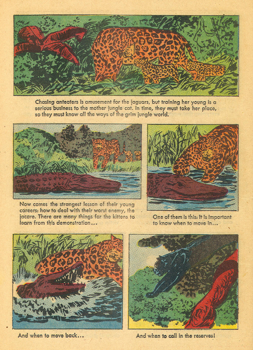 Read online Four Color Comics comic -  Issue #1136 - 26