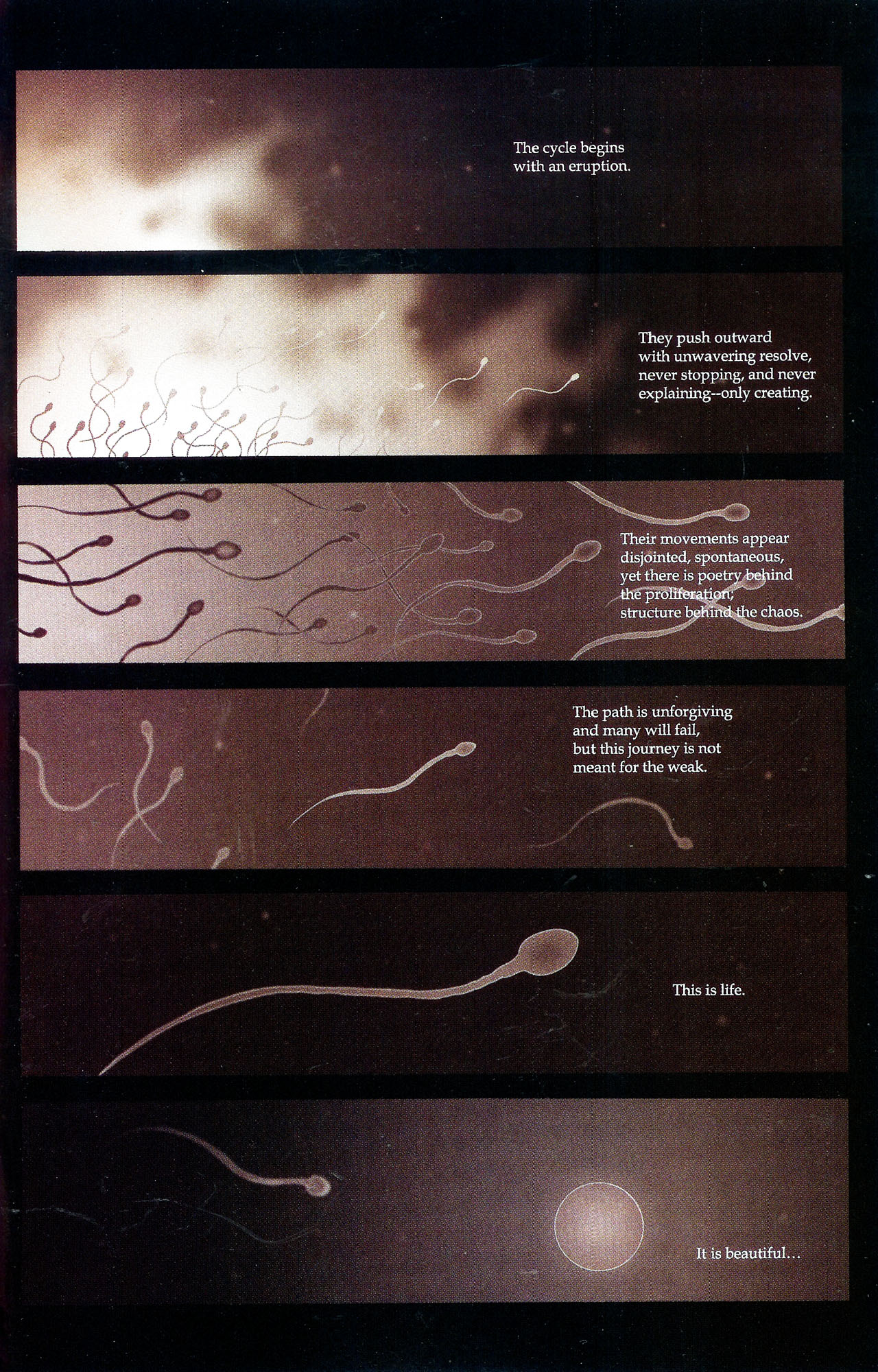 Read online Girls comic -  Issue #24 - 37