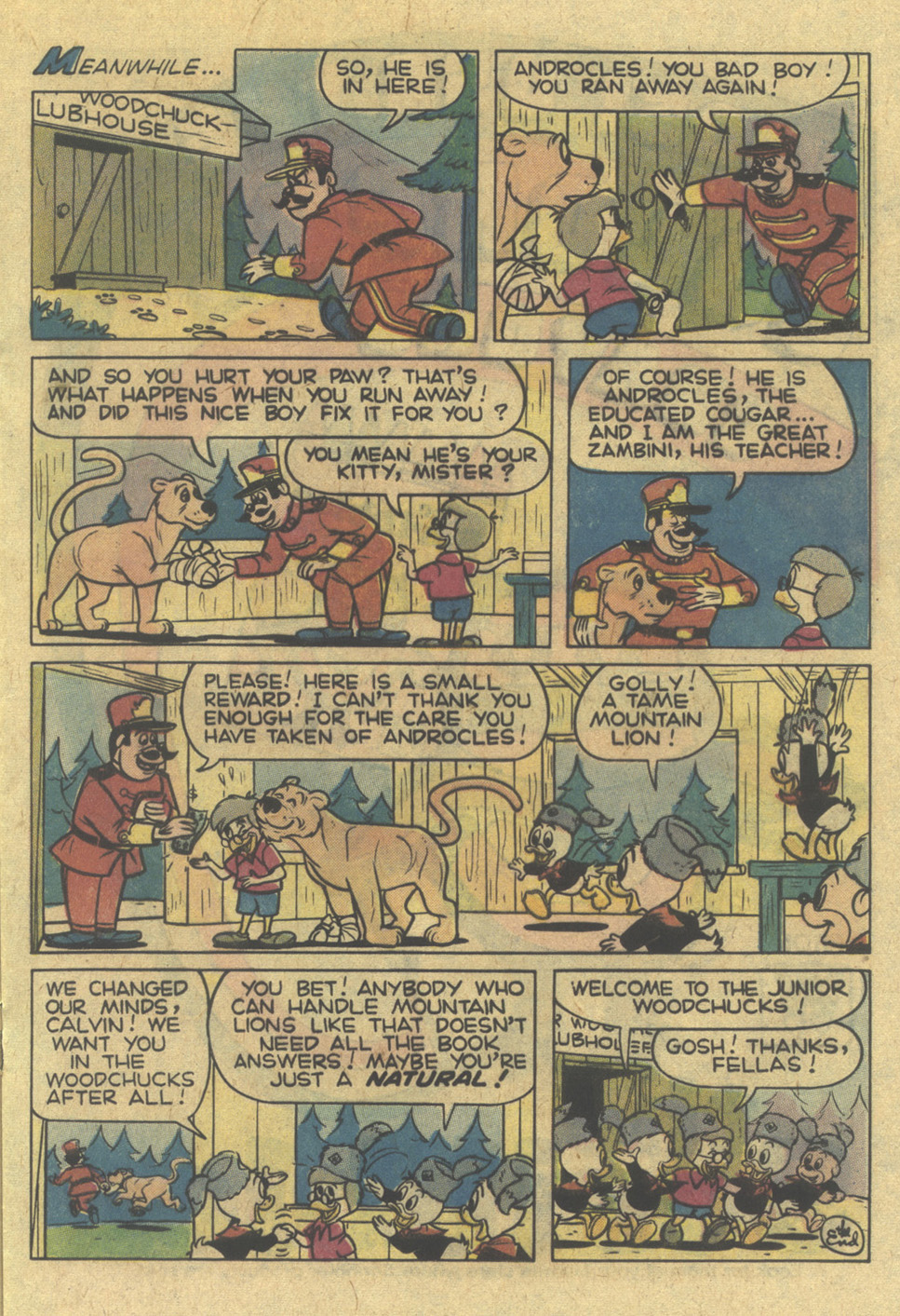 Read online Huey, Dewey, and Louie Junior Woodchucks comic -  Issue #45 - 17