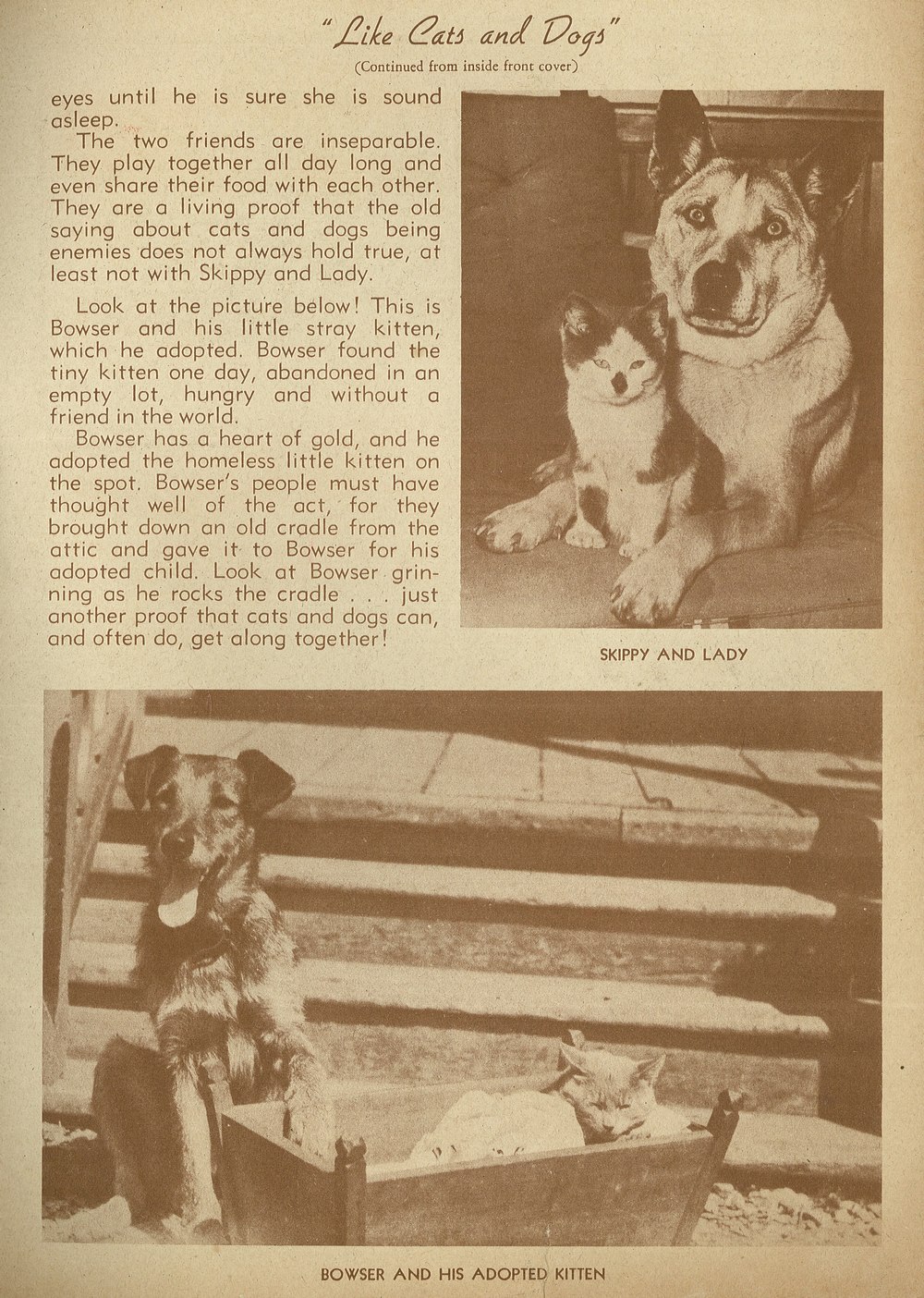 Read online Animal Comics comic -  Issue #18 - 35