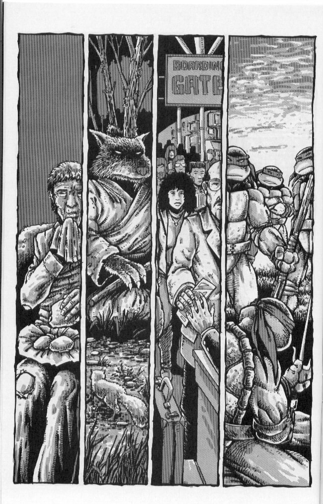 Read online Teenage Mutant Ninja Turtles (1984) comic -  Issue #50 - 14