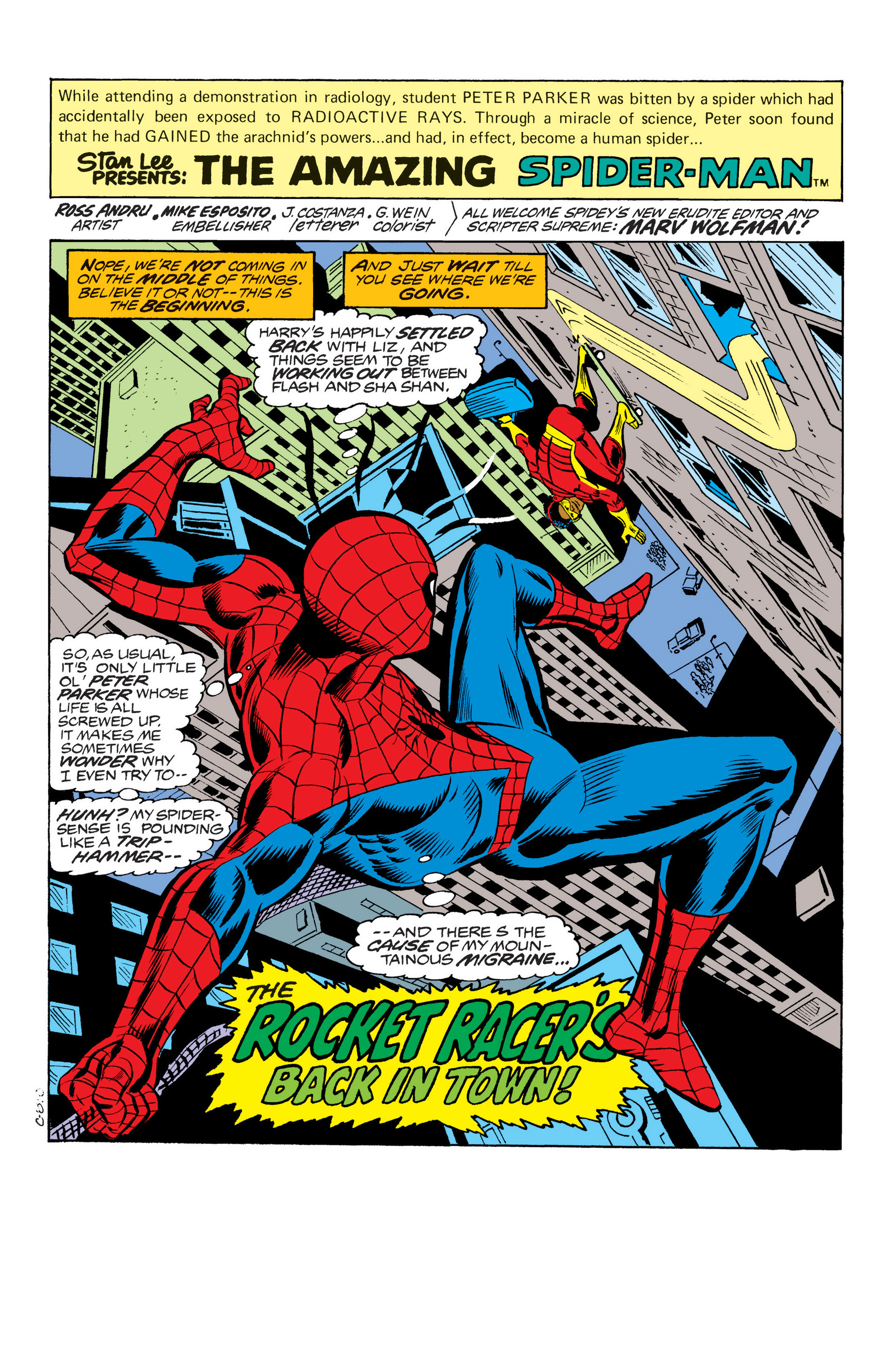 Read online Marvel Masterworks: The Amazing Spider-Man comic -  Issue # TPB 18 (Part 1) - 25