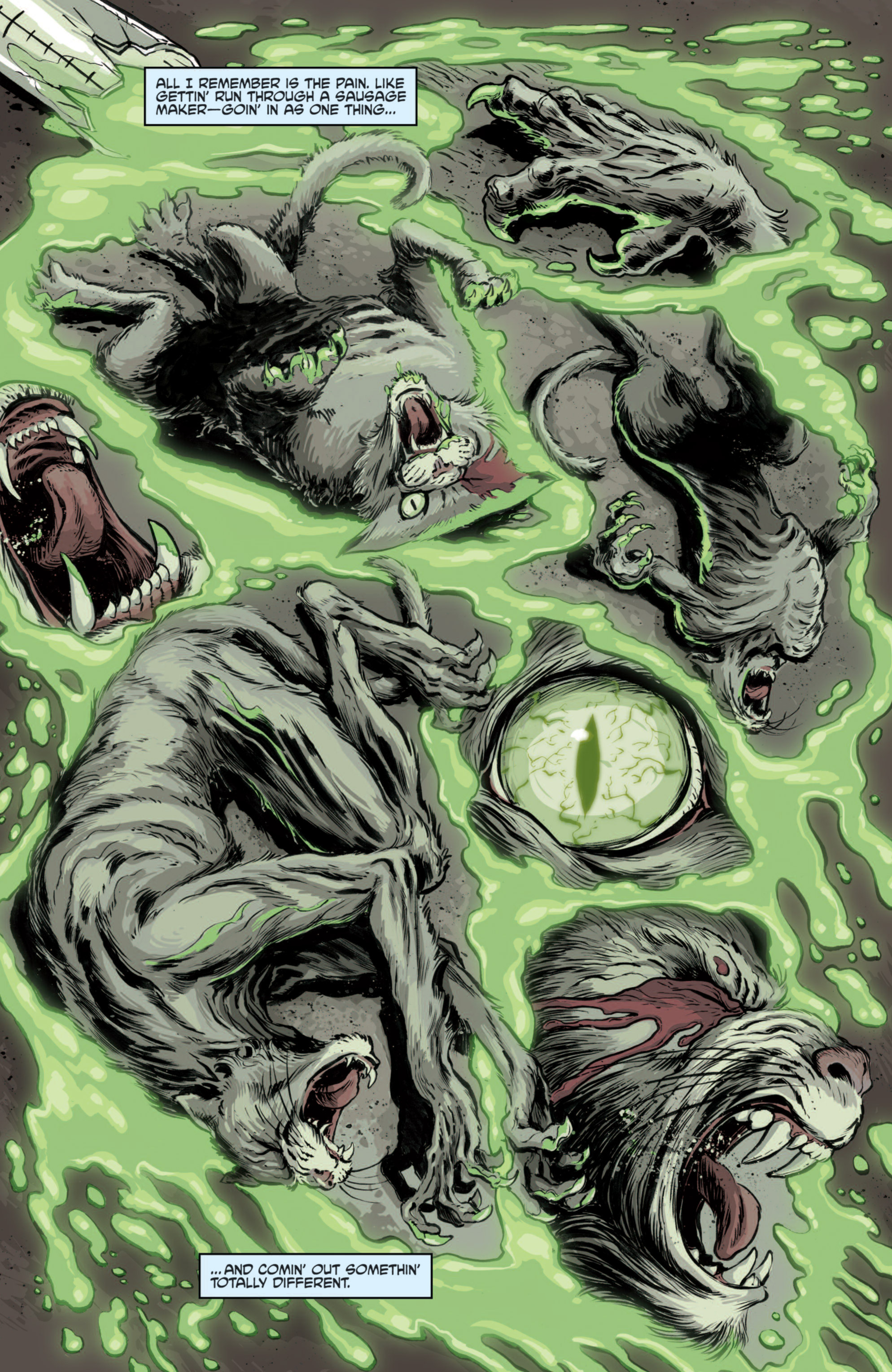 Read online Teenage Mutant Ninja Turtles Villains Microseries comic -  Issue #3 - 10