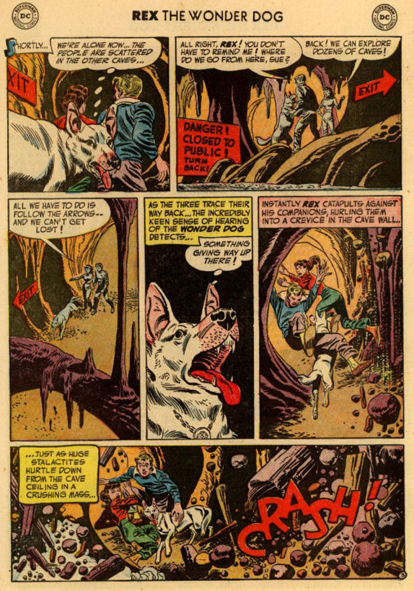 Read online The Adventures of Rex the Wonder Dog comic -  Issue #10 - 5