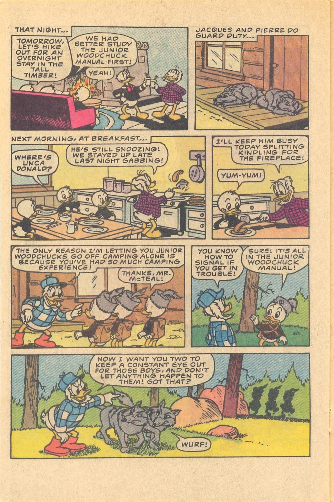 Huey, Dewey, and Louie Junior Woodchucks issue 81 - Page 28